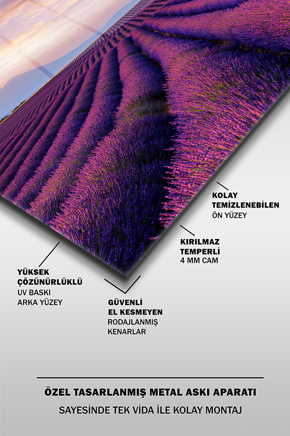 Mor%20Lavanta%20Bahçesi%20Yatay%20Cam%20Tablo