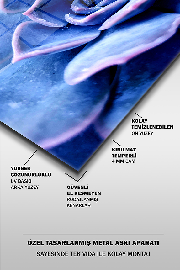 Mavi%20ve%20Mor%20Çiçek%20Yakın%20Çekim%20Dekoratif%20Yatay%20Cam%20Tablo